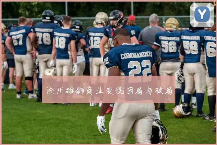 沧州雄狮商业变现困局与破局