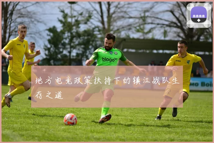 地方电竞政策扶持下的镇江战队生存之道